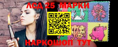 apvp Моздок