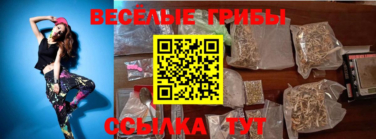 Псилоцибиновые грибы GOLDEN TEACHER  Вход с VPN  Галлюциногенные грибы MAGIC MUSHROOMS  Видное 